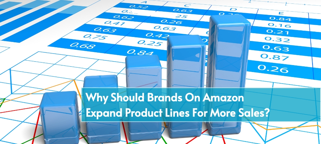 Why Should Brands On Amazon Expand Product Lines For More Sales